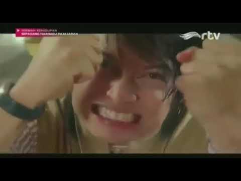 Hikmah Kehidupan - Sepasang Harimau Pajajaran