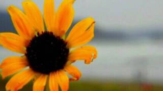 El amor y la moda Roberto Carlos