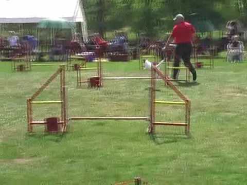 19 04 09 Open Dirk mit Maggie