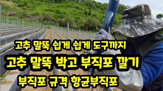 고추말뚝 박고 부직포 항균 부직포 깔기 말뚝 박는 도구 상세 소개 [고추재배기술]