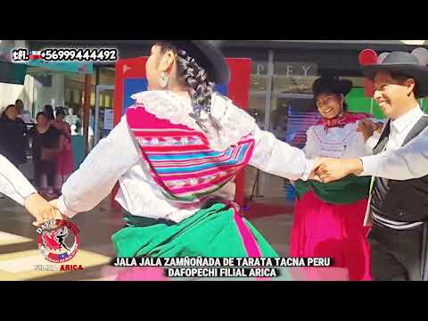 Jala Jala zampoñada de Tarata Tacna Peru  Dafopechi Filial Arica presentación Mall plaza Arica 🇨🇱🇵🇪