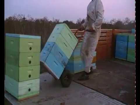 Utovar medišnih nastavaka