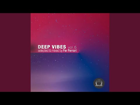 Deep Vibes (Continuous DJ Mix)