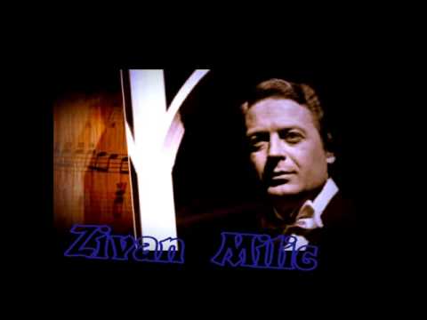 Živan Milic   Kad sam bio na tvom grobu