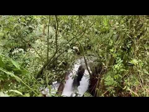 Imagen de Venta de Lotes y Terrenos en Vara blanca - Heredia Vara Blanca - HEREDIA