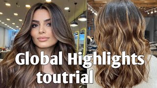 Highlights + Global colour highlights/colour loreal highlights toutrial in Hindi