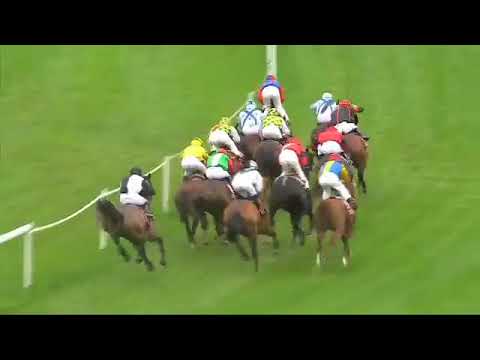 BASEQ AL KHALEDIAH Gr 1 Qatar Total French Arabian Breeders Ch