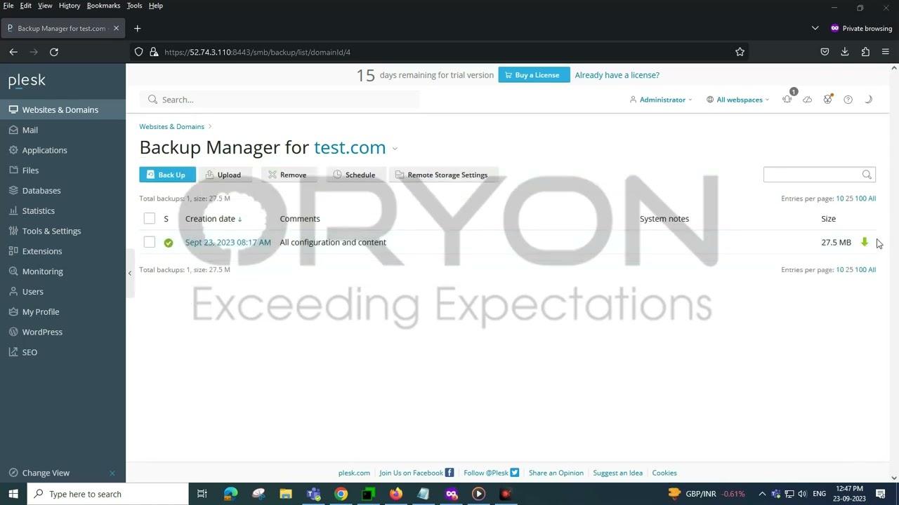 How to take website backup in plesk and download in local PC?
