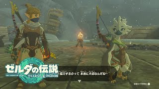 それが社会人への一歩や（白目）【ゼルダの伝説ティアーズオブキングダム】#29