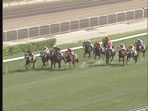 [Champions Mile 2005] BULLISH LUCK won the Champions Mile 2005