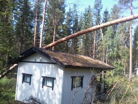 Metsolan Metsäkoulu 94,  Myrskytuhopuiden sahausvinkkejä