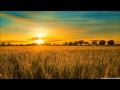 Mike Viola - So Much Better