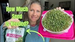Nature Jim's Microgreen Sprouting Seeds. Organic Salad Mix for In-Home Gardening.