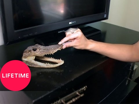 Project Runway: Korina Emmerich's Home Visit (S13) | Lifetime