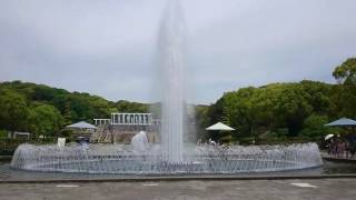 水の音って良いねっていう動画