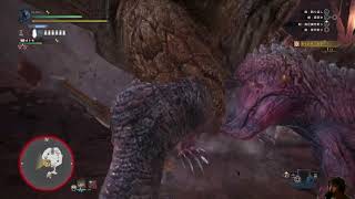 【MHW実況】part10 新大陸の白き風をなれないチャアクでやった結果（　＾ω＾）・・・