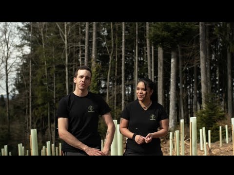 Treebreathe Sàrl YouTube-Vdeominiatur 10