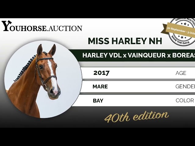 Miss Harley NH @ the show