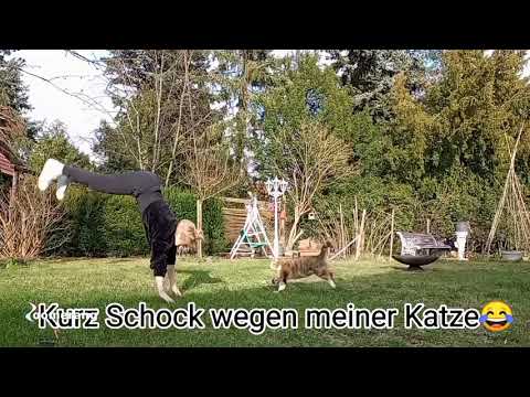 Radwende Flick Flack