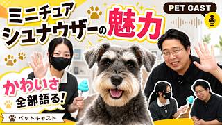 ミニチュアシュナウザーの魅力を語ったら楽しすぎた【ペットキャスト】