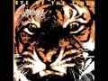 Survivor - Eye Of The Tiger (Instrumental) 
