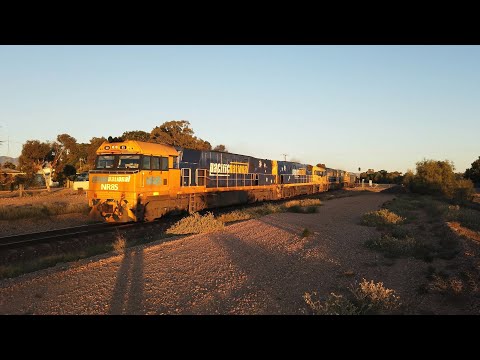 NR85 + NR106 + NR21 + NR16