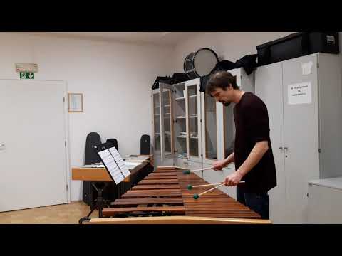 Practicing marimba #1 - Mark Ford - Fry