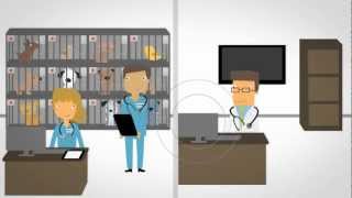 Smart Flow video