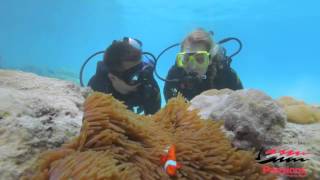 Passions of Paradise | Great Barrier Reef tour Cairns