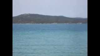 preview picture of video 'Delfini Isola dei Gabbiani Ottobre 2014 / Dolphins'