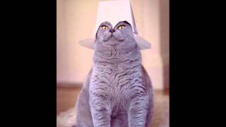 Delilah - love you so (Joe Goddard Mix Tong re-edit)