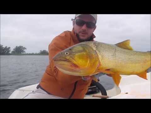 Golden Dorado River Cruiser 