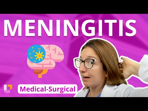 Meningitis - Medical-Surgical - Nervous System |  @LevelUpRN
