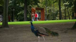 Rob Roy - Overture - The Rilving Party