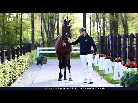 Terrence JS Conformation and hard ground