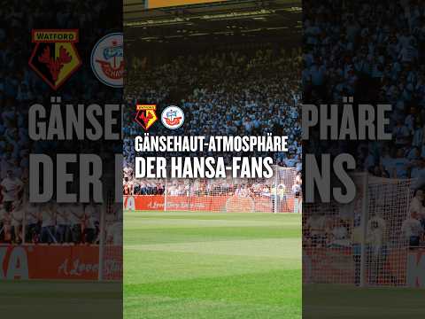 Video Thumbnail: Gänsehaut-Atmosphäre der Hansa-Fans in Watford #shorts