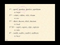 Overview Of Verb Conjugations