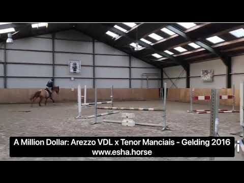 A Million Dollar: Arezzo VDL x Tenor Manciais