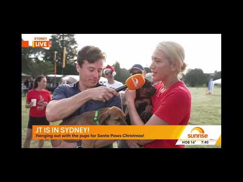 Santa Paws 2023 by Ozzie Tails of Hope