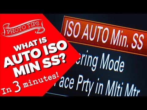 Auto ISO min SS – spiegellose Kameras von Sony
