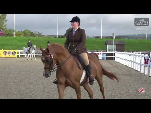 AHS National Championships 2023   RIDDEN CLASSES   Class 101