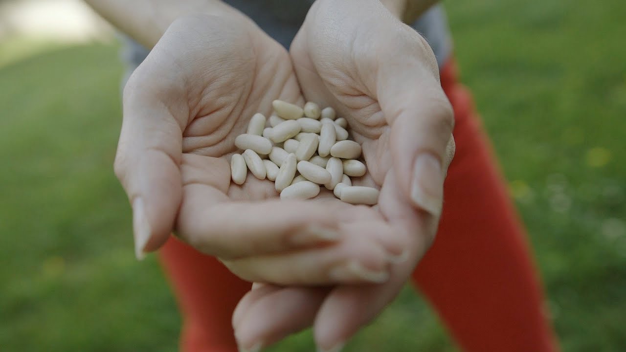 Seed Savers Exchange