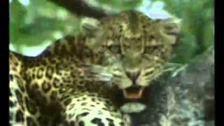 &quot;Nosound&quot; -  The Moment She Knew