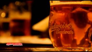 budweiser czech 3