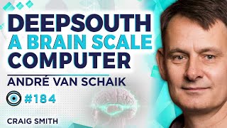 Building An Artificial Brain With 100 Billion Neurons | André van Schaik