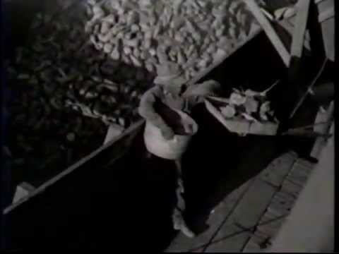 The Harvest of Sugar Beets