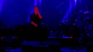 Before you leave - Racoon live