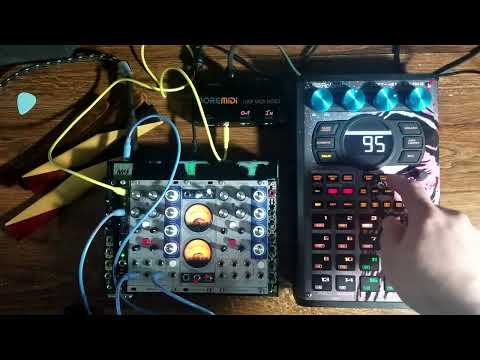 Its 404 day! 2023! // Sp404mk2 // Dannysound Dynamics // Abyss Devices AMP // 4ms