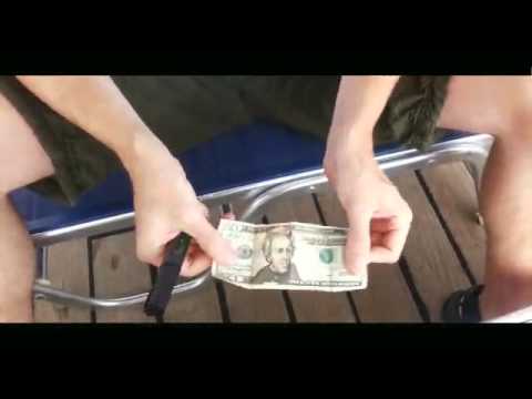 Million Dollar Baby by Hugo Valenzuela