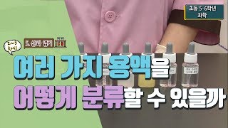 [초등 과학 5-2] 5. 산과 염기 - 2~3차시 여러 가지 용액을 어떻게 분류할 수 있을까요?